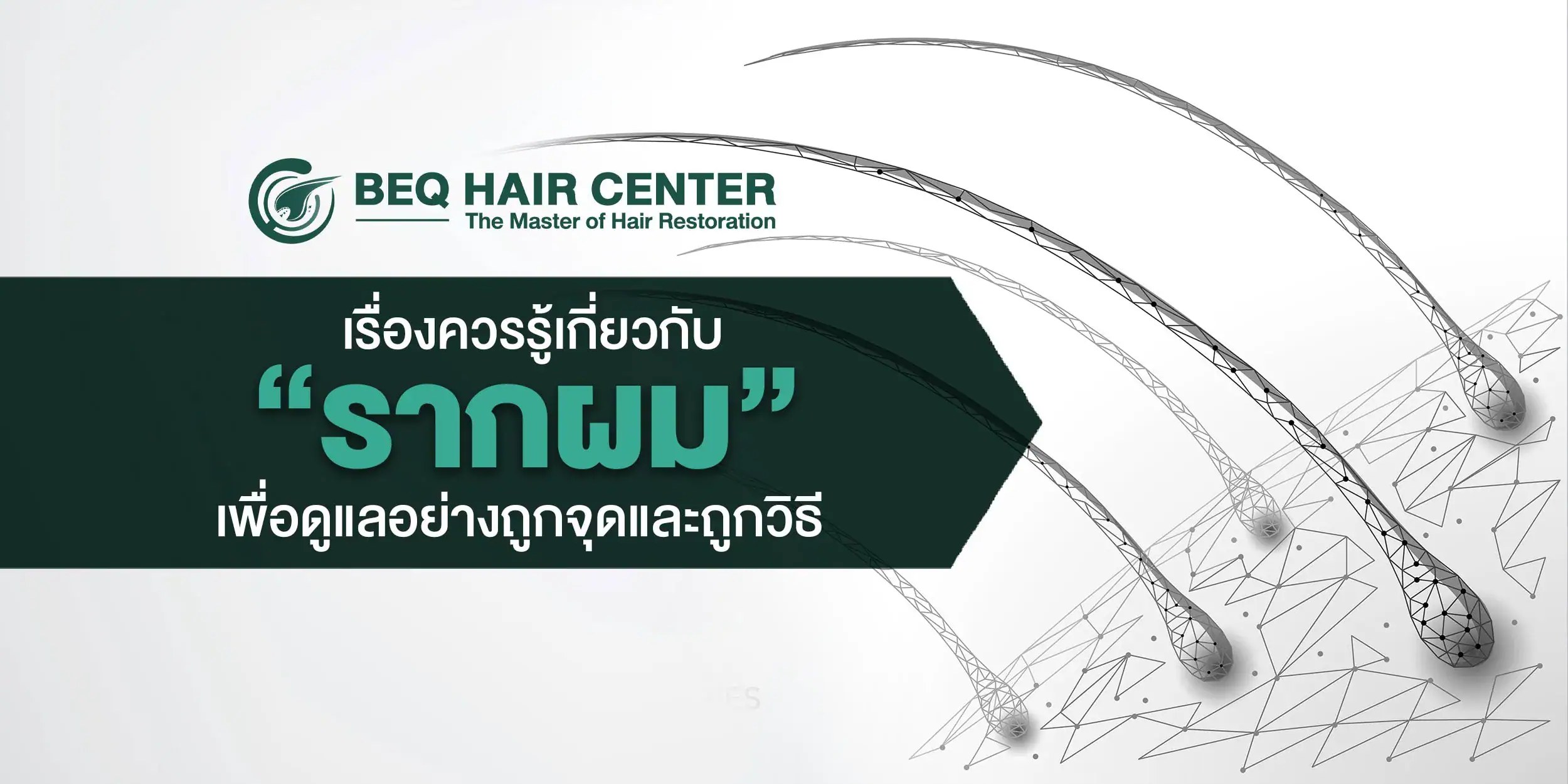 รากผม