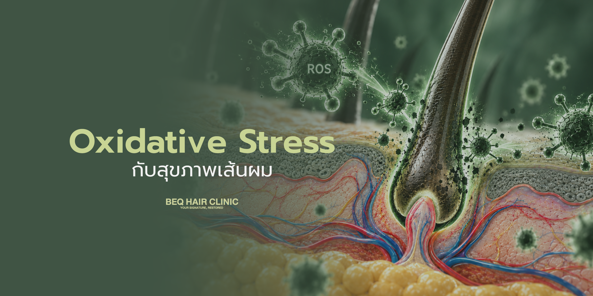 Oxidative Stress กับสุขภาพเส้นผม