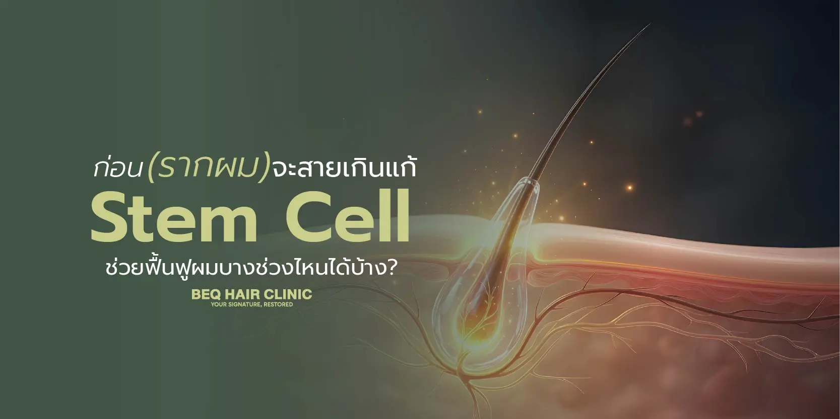 ก่อนรากผมจะสายเกินแก้! Stem Cell ช่วยฟื้นฟูผมบางช่วงไหนได้บ้าง?