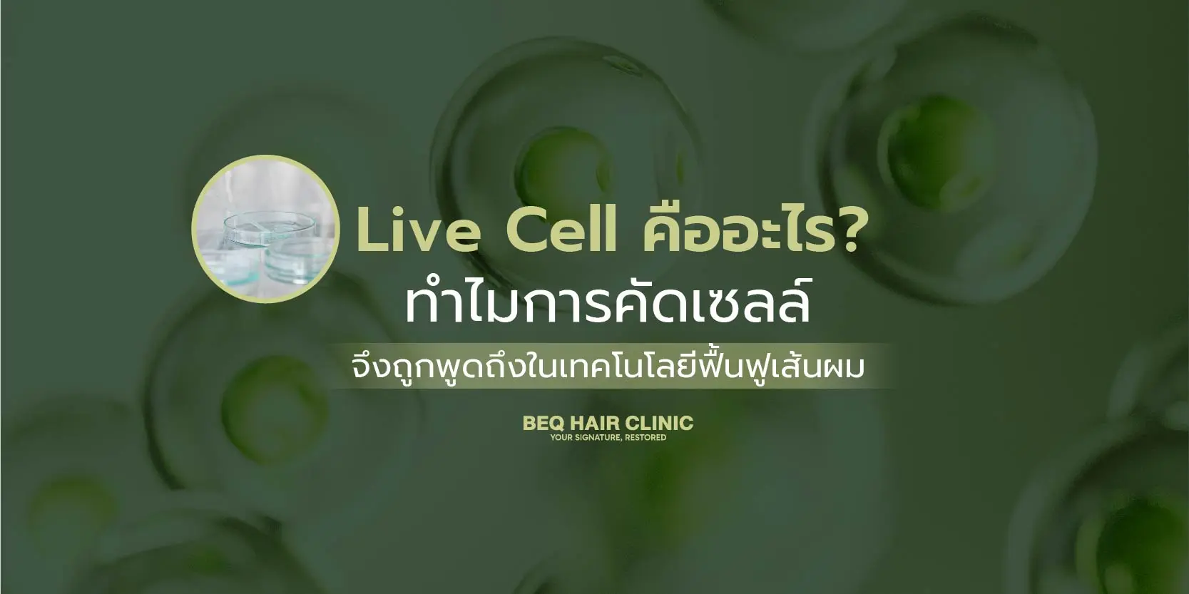 Live Cell คืออะไร? ทำไมการคัดเซลล์จึงถูกพูดถึงในเทคโนโลยีฟื้นฟูเส้นผม