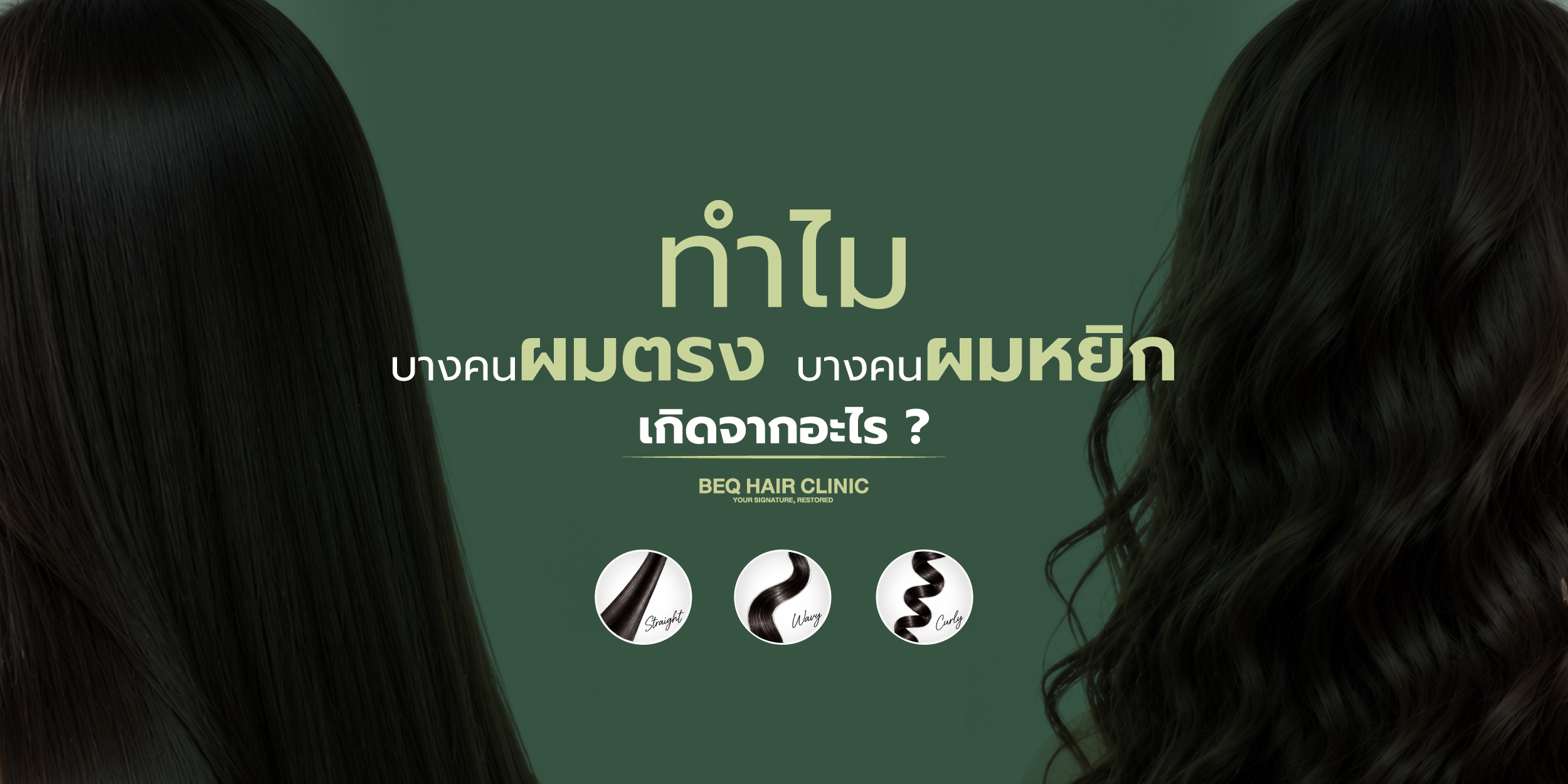 ทำไมบางคนผมตรง บางคนผมหยิก? รู้จักลักษณะเส้นผมตั้งแต่ Straight ถึง Afro Hair